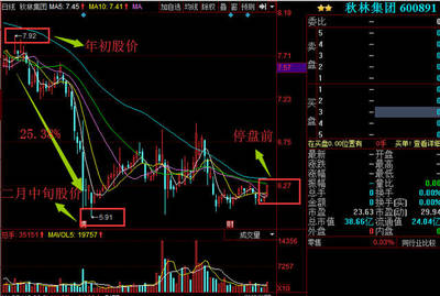 黄金珠宝卖不动 !秋林集团募资8亿谋转型