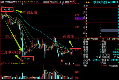 黄金珠宝卖不动 !秋林集团募资8亿谋转型